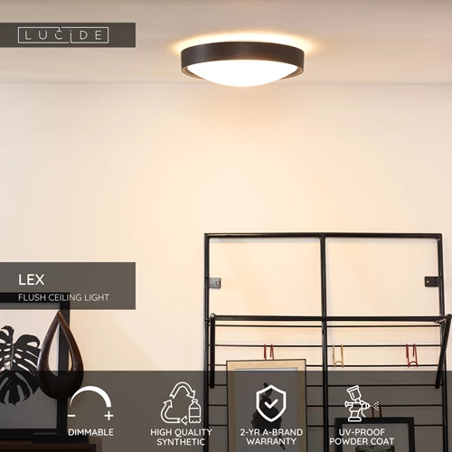 Lucide LEX - Flush ceiling light - Ø 33 cm - 2xE27 - Black - USP